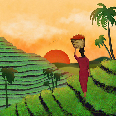 Rice fields and the sunset bali digitalart illustration procreate procreateart ricefields sunset