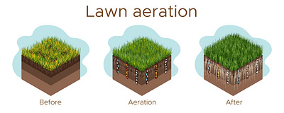 Lawn care - aeration and scarification. Labels by stage. design illustration isometric art isometric design isometric illustration isometry vector