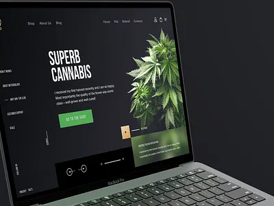 Case Study: Building a New Venture