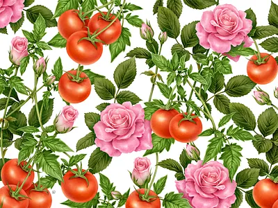 Roses & Tomatoes x ORIGINS advertising botanical botanical art commercial design digital drawing floral flower garden handmade illustration naturalistic packaging pattern pencil photoshop plant rose vintage