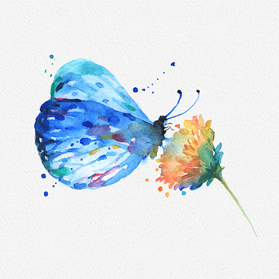 Butterfly And Flower Watercolor Painting PNG Clipart artwork beautiful butterfly butterfly clipart butterfly design butterfly illustration butterfly logo butterfly painting creative digital illustration flower gogivo greenery instantdownload nature png butterfly png butterfly watercolor clipart watercolor painting wildlife