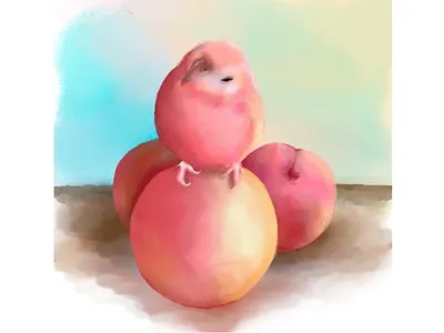 Peaches & Peach adobe adobe fresco bird design digital painting illustration ipad pro pastel brushes peach peach color