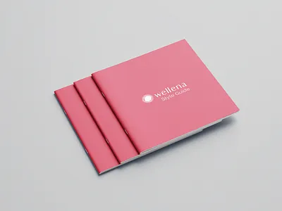 Branding / Style guide branding branding and identity branding design layout styleguide styleguides