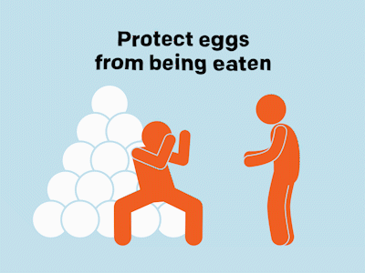 Protect Babies animation eat eggs fight gif illustration kick martial arts mma motion design stick figure toilet vector