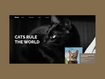 Maozi: Adopt a cat Rule the world