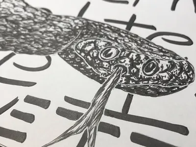 Medusa cobra illustration monthly challenge pen and ink snake