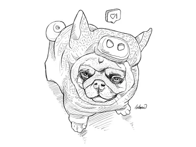 Sketch Pug animals artist cute animal cute art cute illustration design drawing dribbble illustration sketch sketches