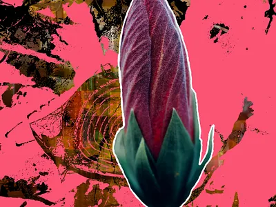 Restaurant in Layers patterns photography pink vector vector art