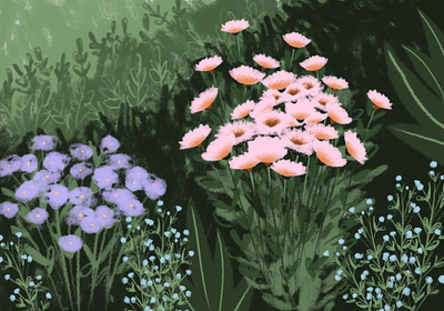 Blooming garden adobe photoshop art digital art drawing flowers garden green illustration summer
