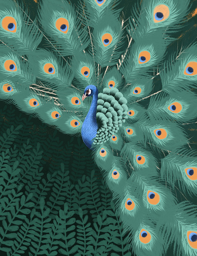 Peacock adobe photoshop art bird bird of paradise digital art digital illustration drawing garden green illustration tail