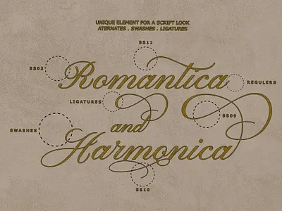 Empario Armani Font branding font handlettering handwritten illustration invitation script template typography vintage