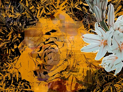 Touch of Orange orange pattern photography vector vector art