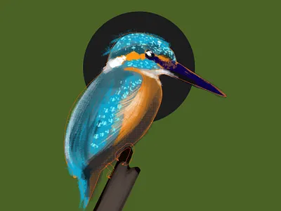 kingfisher bird bird illustration birds digital painting flight kingfisher photoshop render render
