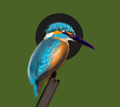 kingfisher bird bird illustration birds digital painting flight kingfisher photoshop render render