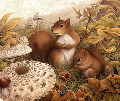 Underwood acrylic airbrush animal autumn botanical drawing fungi handmade illustration mushroom naturalistic pencil squirrel vintage watercolor wood