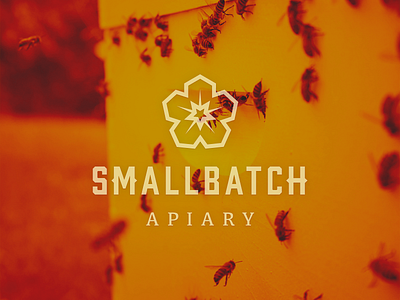 SmallBatch Apiary Logo apiary batch bee branding design flower hexagon honey honeybee honeycomb icon illustrator logo photo photography photoshop small smallbatch typography vector