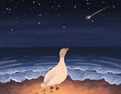 Cozy evening of Molly the duck. Under the stars adobe photoshop art bird character comet digital art digital illustration drawing duck illustration night sea sky starry night stars summer