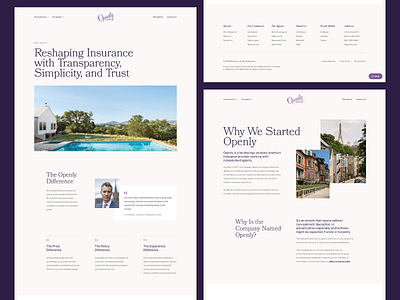 Simplicity in Design about page insurance ui ui design user interface web design website