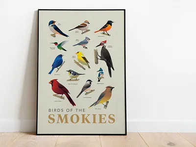Birds of the Smokies Art Print bird watching birds birds of national park nature smoky mountains wildlife wildlife illustration