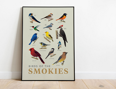 Birds of the Smokies Art Print bird watching birds birds of national park nature smoky mountains wildlife wildlife illustration