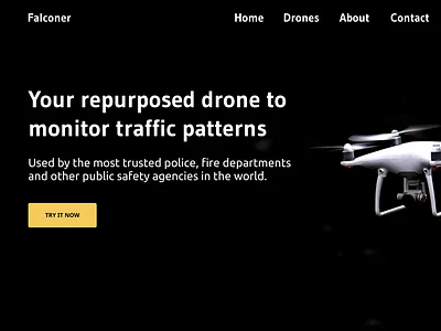 Falconer - Hero Section hero section web design