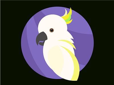 Golden Ratio - Cantankerous Cockatoo design illustration logo