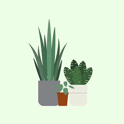 Houseplants bright colors curvature tool curve design experiment icon illustration minimal minimalist plants vector