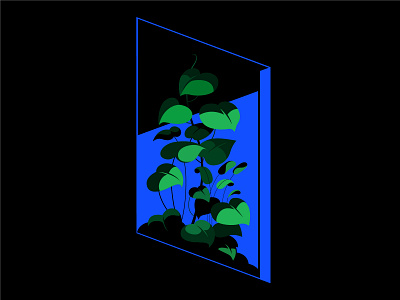 My neighbors love flowers black blue floral flower green home plant illustration isometric leafs mood moonlight neon night vector window