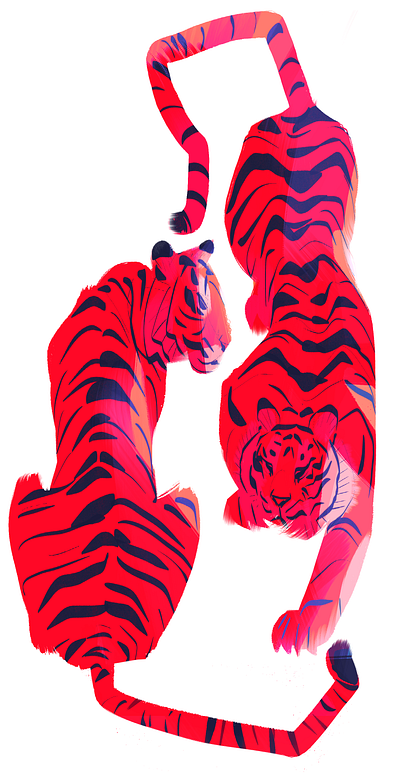 Tigers animals characterdesign children book illustration illustration nature procreate tiger