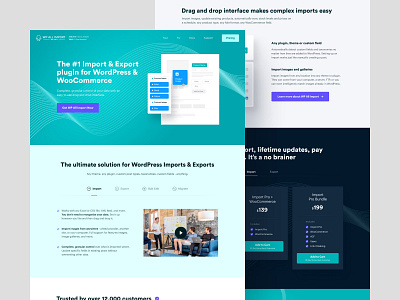 WP All Import - Home branding colors data docs home import inner pages pastel plugin pricing pricing page product design teal ux visual identity web web design website wordpress wordpress plugin