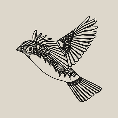 Sparrows bird bird illustration birds illustration sparrow texture wings