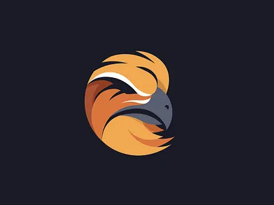 Eagle 2d animal art bird bird icon bird illustration bird logo black design eagle fire geometric graphic logo logodesign modern orange vector