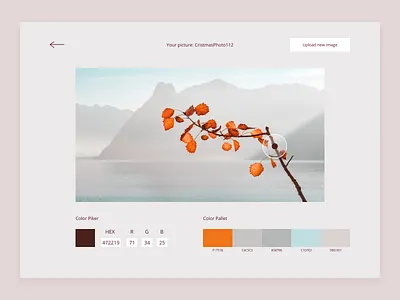 Color Picker 060 daily 100 challenge dailyui dailyuichallenge design minimal ui web
