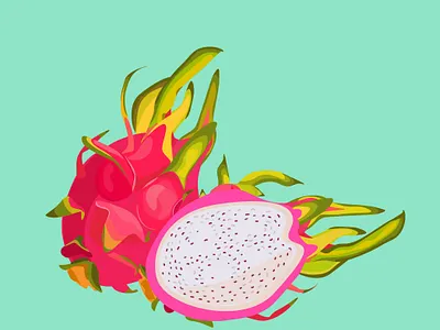 Dragonfruit buisness design flatdesign illustration illustrator vector vectorart