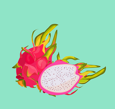 Dragonfruit buisness design flatdesign illustration illustrator vector vectorart