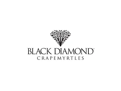 Black Diamond Crapemyrtles logo brand design brand identity crapemyrtle gardening home identity identity branding logo nursery tree yard