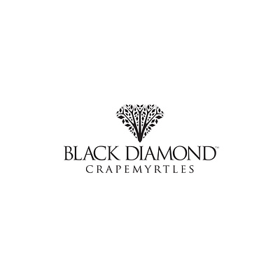 Black Diamond Crapemyrtles logo brand design brand identity crapemyrtle gardening home identity identity branding logo nursery tree yard