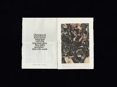 Petrichor | 01 editorial editorial design layout magazine newsprint print print design spread zine zines