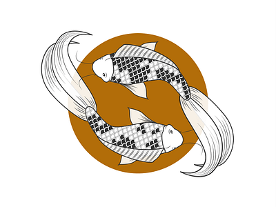 Yin Yang Koi design fish illustration koi vector yin yang