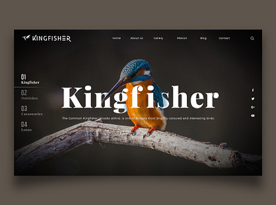 Kingfisher Landing Page adobe photoshop bird creative creative design flat design graphics design landing page ui ui design web web design website website design