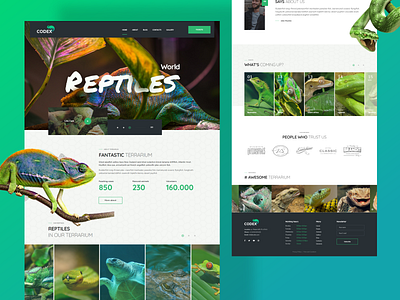 Wildlife landing Page Concept design forest forest animals jungleminds ui web design website wild animal wildlife wildlife illustration