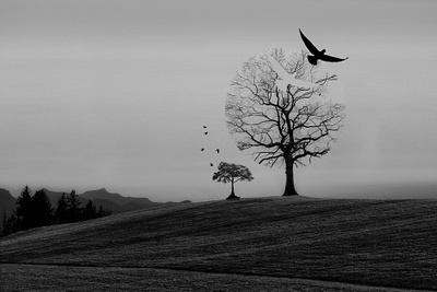 Leafless Tree adobe photoshop design beautiful wallpaper design black and white landscape creative creative design creative design creative graphics design creative photo manipulation creativity creature design editing graphics illustration photo editing photo effect simple creative design