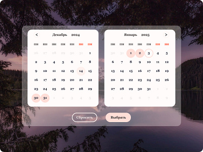 Календарь booking calendar design graphic design ui