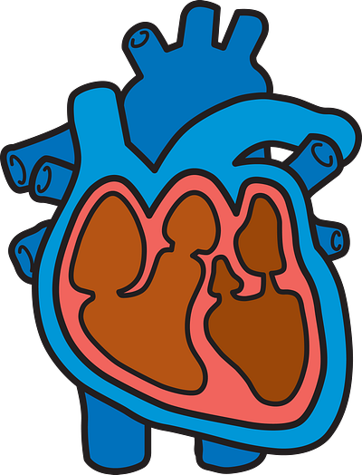 Heart freehand drawing illustration vector