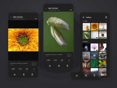 Pentax Mobile - View image and Gallery app camera clean color concept dark ui design flat gallery minimalist mobile ui penguin pentax ui ux