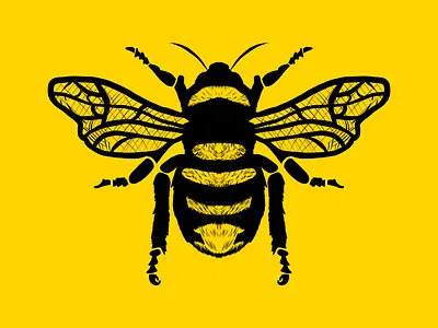 Day 323 adobe illustrator adobe illustrator cc beekeeper bees beeswax brand design brand identity branding bright colors graphic design honey honey logo honey warm honeybee honeycomb logo logo design logo designer logos warm weather