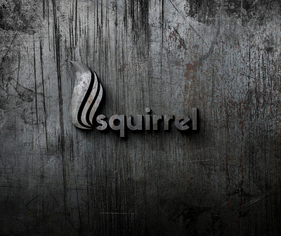 squirrel logo design logo plasmpec plasmpec studio randunu vihanga