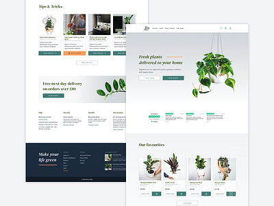 Plant shop exploration clean ui e commerce e commerce design e commerce shop e commerce website e shop homepage landingpage marketing marketing design minimal online shop plant plant shop plants shop ui design ui ux webdesign