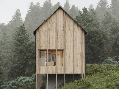 Haus Am Stürcherwald in Austria // CGI 3d 3dsmax cgi coronarender exterior exterior design itoo rendering