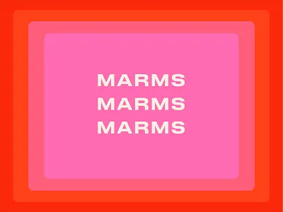 Mama Bear Marmalade branding independent jam logo design marmalade packaging small business start up turtle and hare visual identity